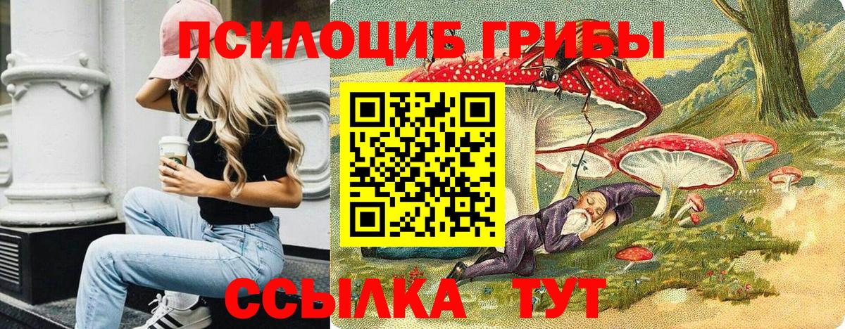 Галлюциногенные грибы Psilocybine cubensis Тула