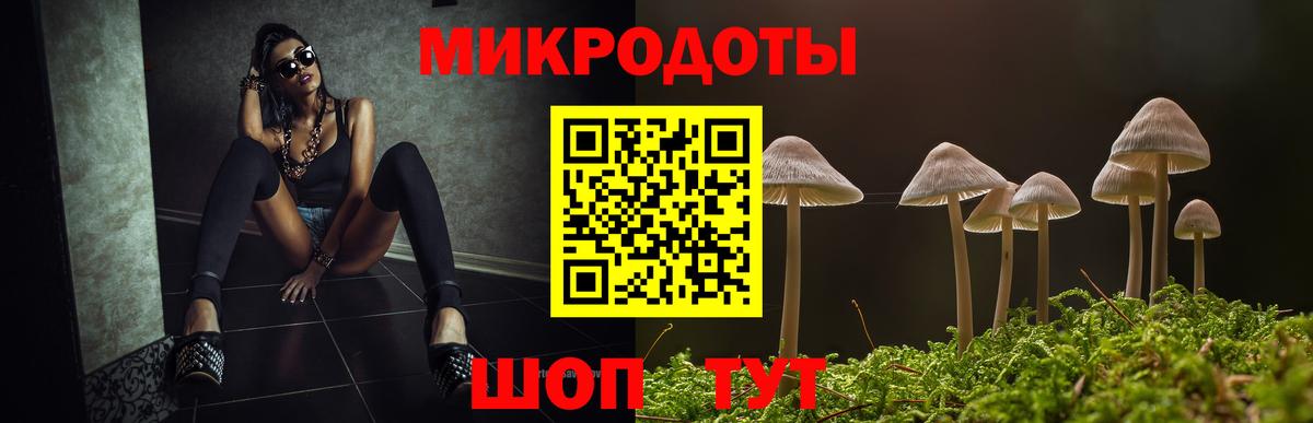 Тула  как найти   Вход с VPN  Псилоцибиновые грибы прущие грибы 